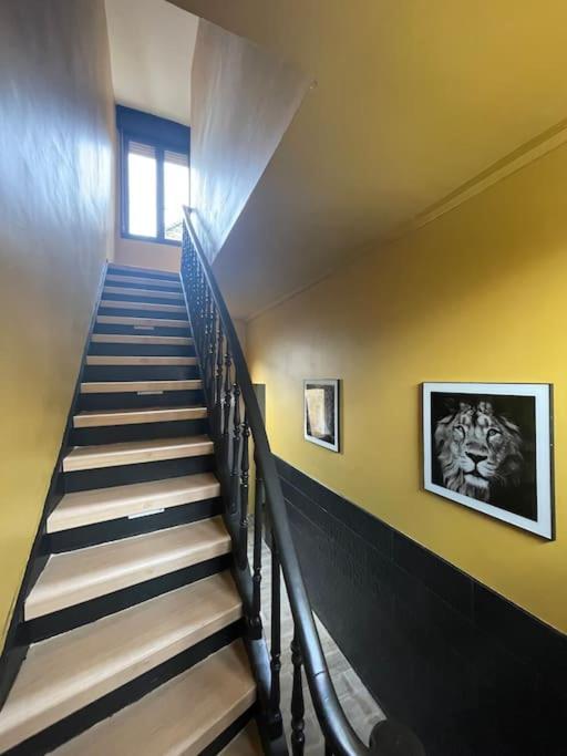 Le Cosy Dunkerquois Apartment Dunkirk Ngoại thất bức ảnh